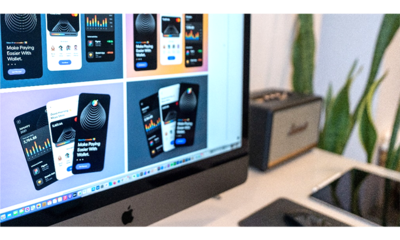 新產(chǎn)品研發(fā)項(xiàng)目管理的創(chuàng)新實(shí)踐 網(wǎng)絡(luò)技術(shù)服務(wù)的視角